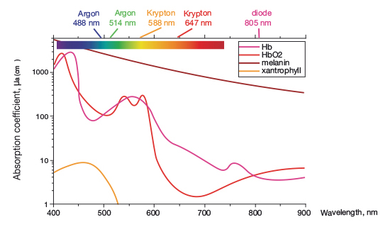 Monocrom ophtalmology graphv2