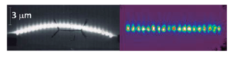 Monocrom clamping smile effectv2